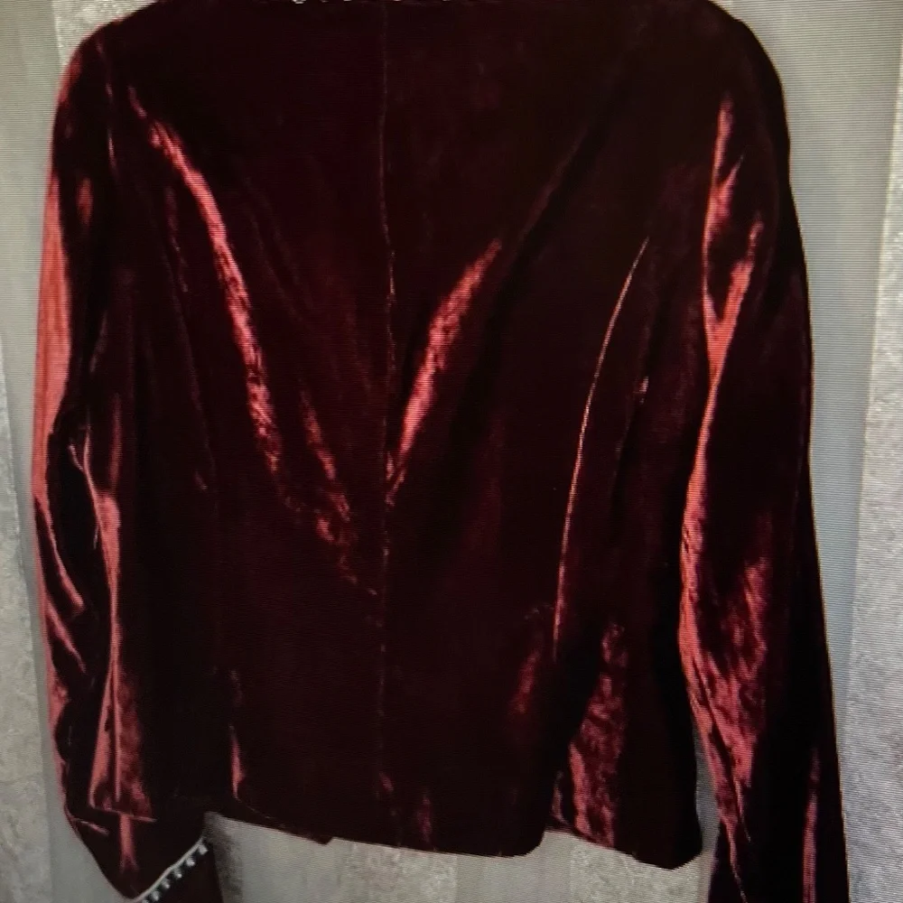 Double D Ranch Velvet Jacket - Picture 4 of 5